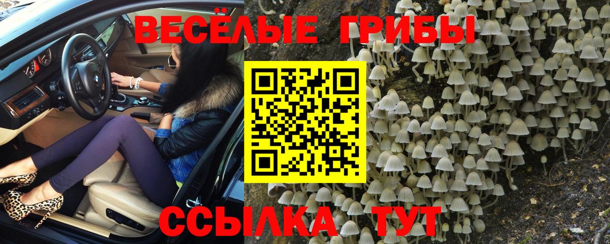 Галлюциногенные грибы ЛСД Чайковский